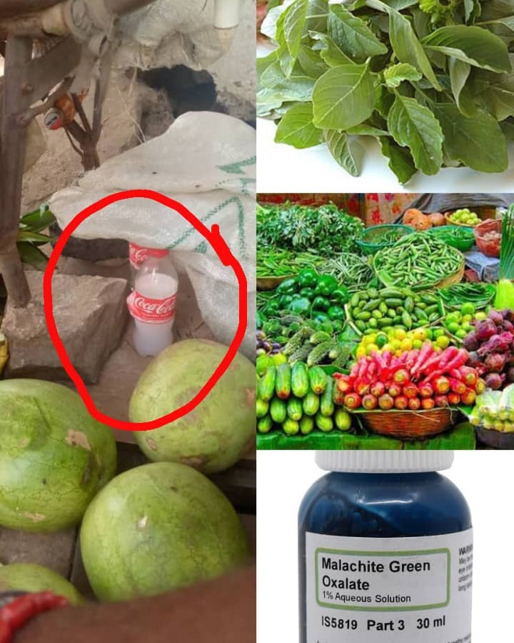 WHO WILL SAVE MANKIND?